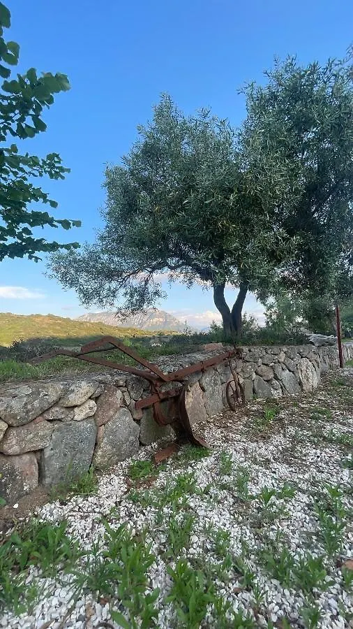 Matta E Sole Villa Loculi Farmház