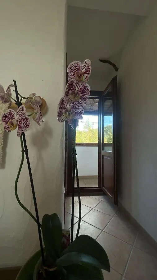 Matta E Sole Villa Loculi Farmház