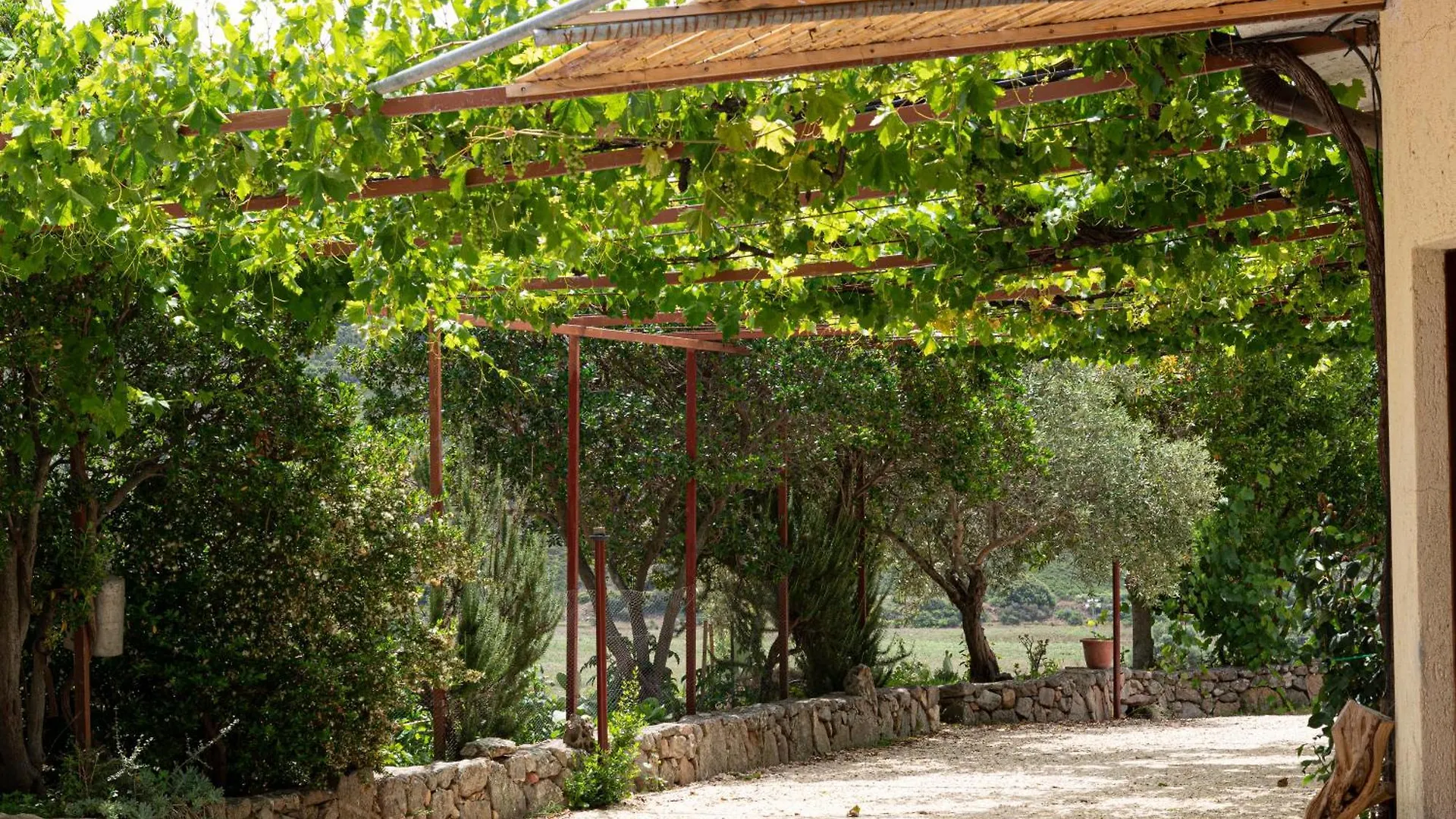 Villa Matta E Sole à Loculi Italie